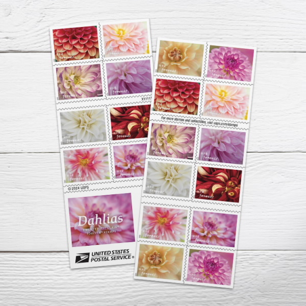 2025 Forever Stamps Dahlias Stamps 500 pcs - Forever Stamps