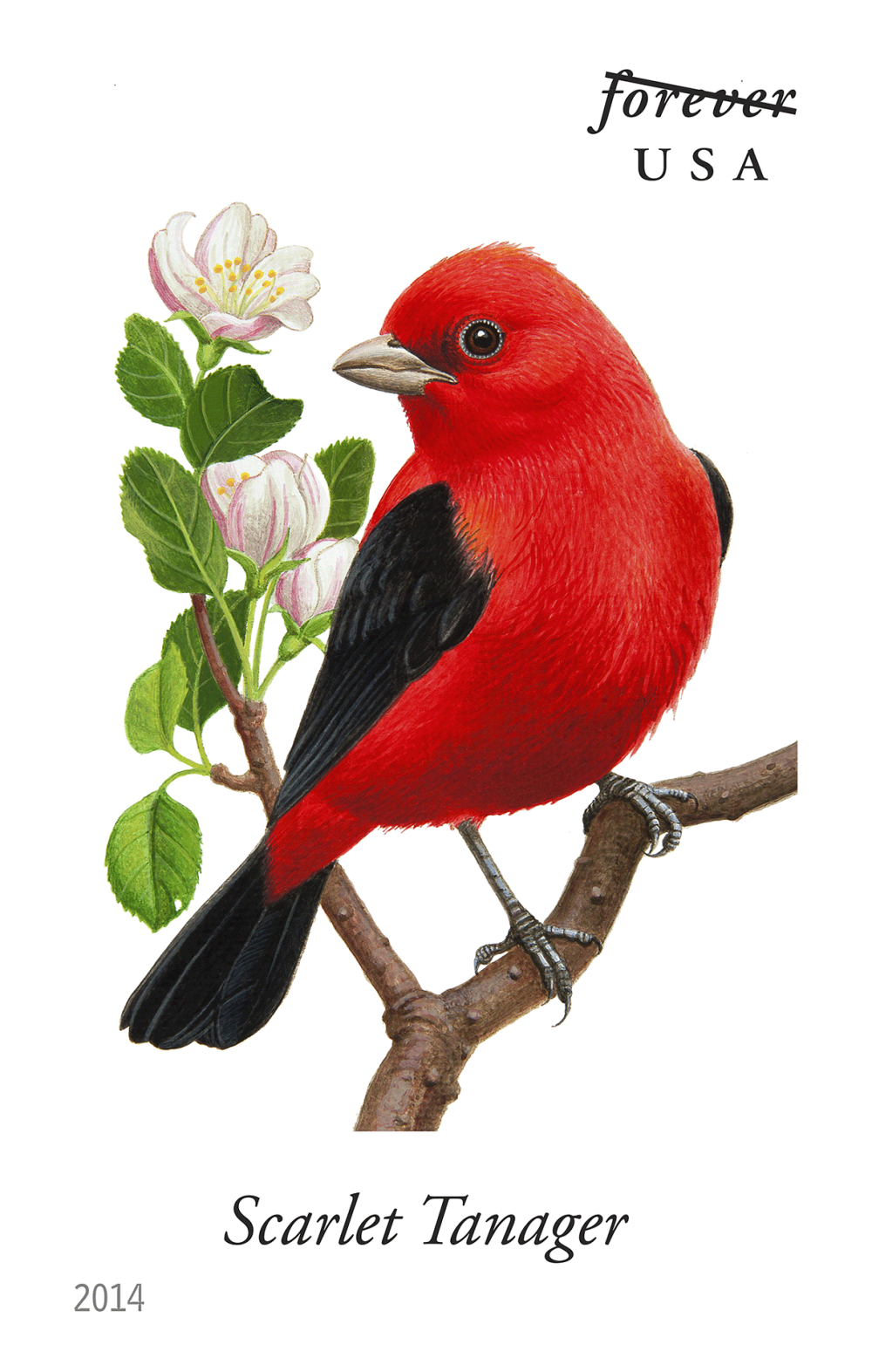 2014 Song Birds Stamps - Forever Stamps
