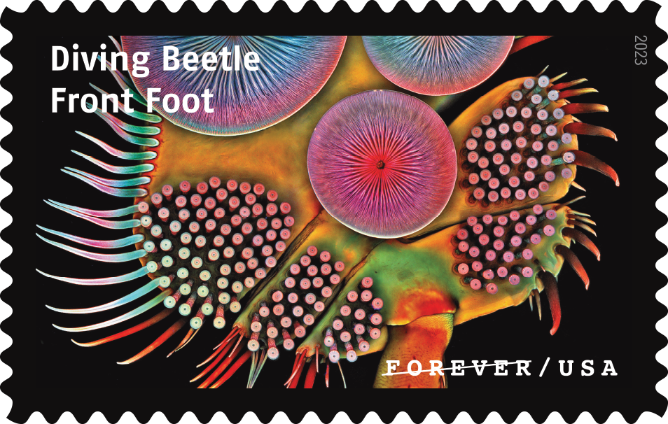 2023 Life Magnified Stamps - Forever Stamps