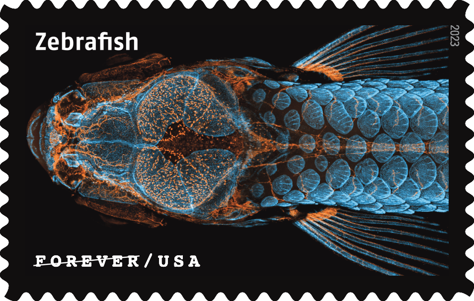 2023 Life Magnified Stamps - Forever Stamps