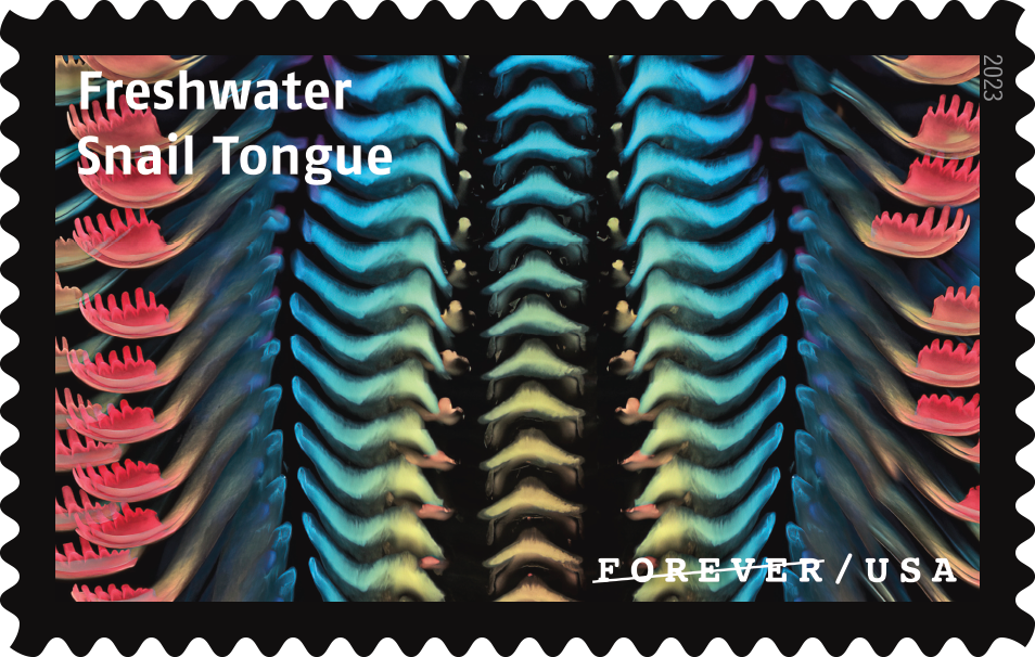 2023 Life Magnified Stamps - Forever Stamps