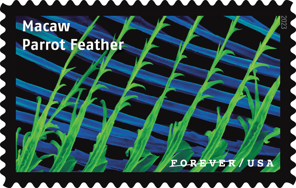 2023 Life Magnified Stamps - Forever Stamps