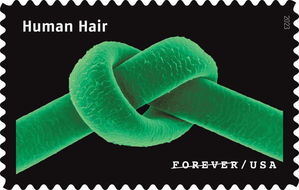 2023 Life Magnified Stamps - Forever Stamps
