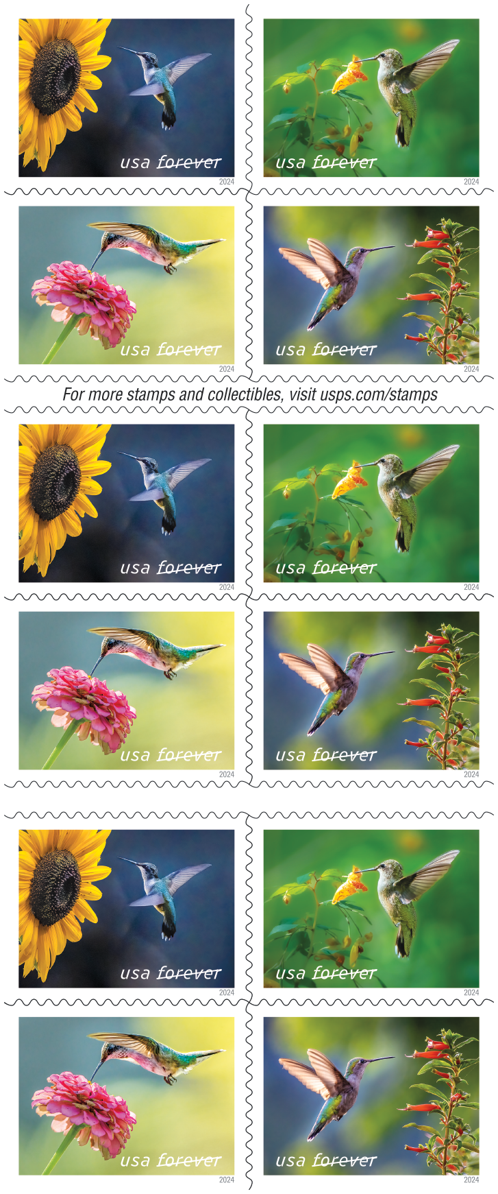 2024 Garden Delights Stamps - Forever Stamps