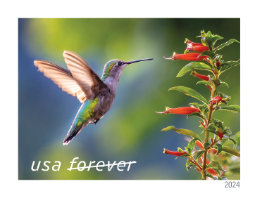 2024 Garden Delights Stamps - Forever Stamps